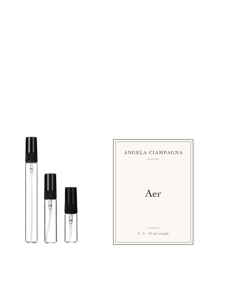 Angela Ciampagna Aer sample
